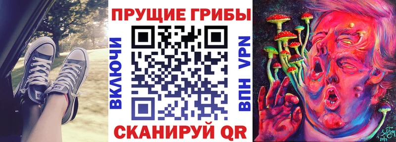 Псилоцибиновые грибы Psilocybine cubensis  Купить где  Добрянка 
